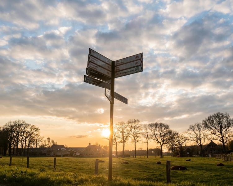 Countryside signpost at sunset with farm view